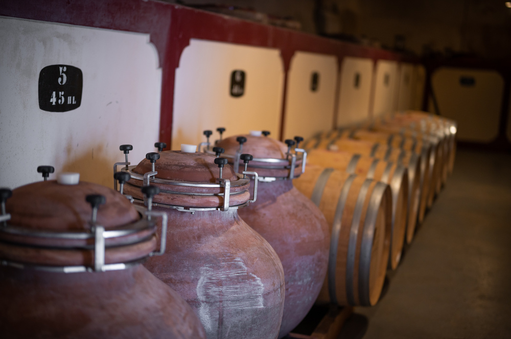 Séance du jeudi 12 mars: l'élevage du vin