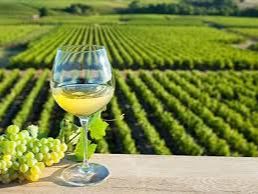 Séance du vendredi 5 décembre: Variations sur le Chenin