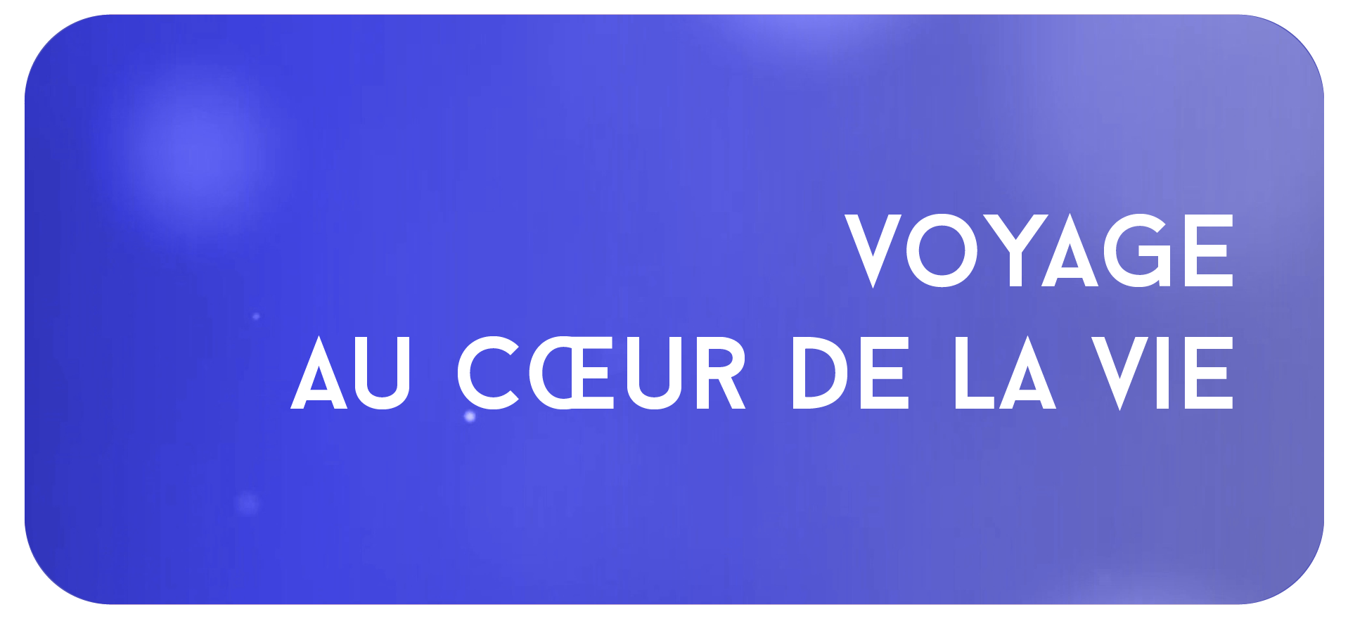 Voyage au coeur de la vie du 30 novembre 2024