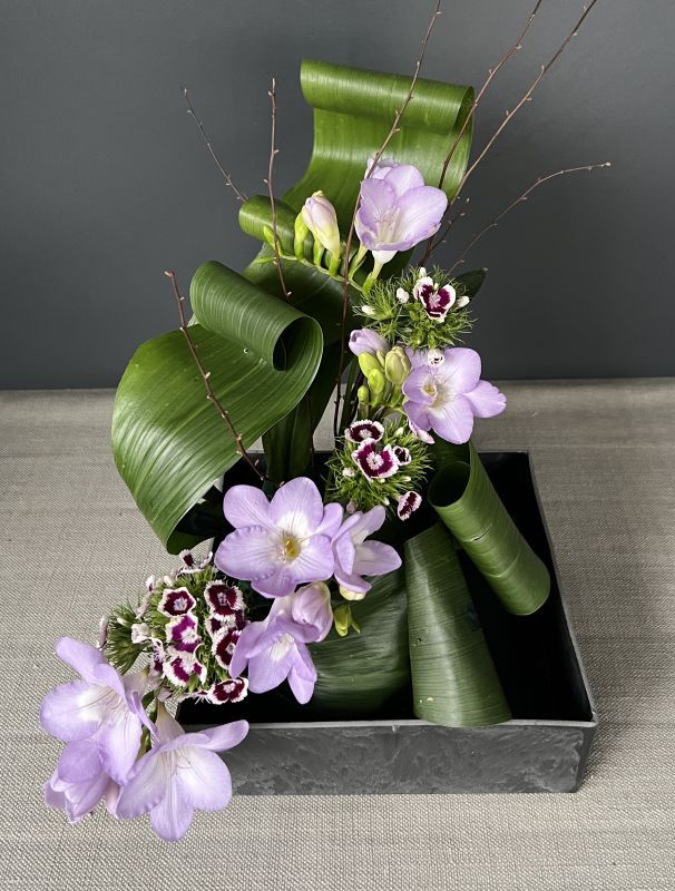 2026 - Mercredi 14 Oct - Atelier 'Danse d'Aspidistra' - 14h/16h(2h)
