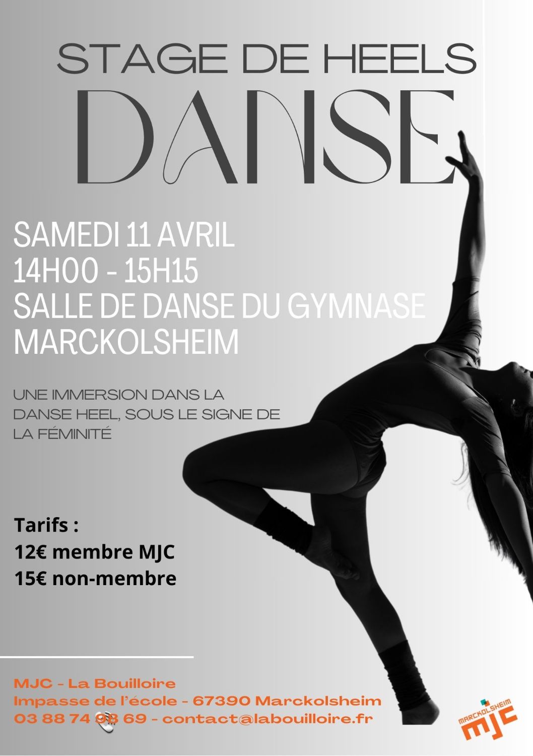 STAGE DE DANSE - HEELS