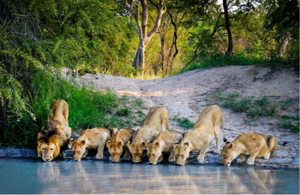 2026-AFRIQUE DU SUD-SWAZILAND