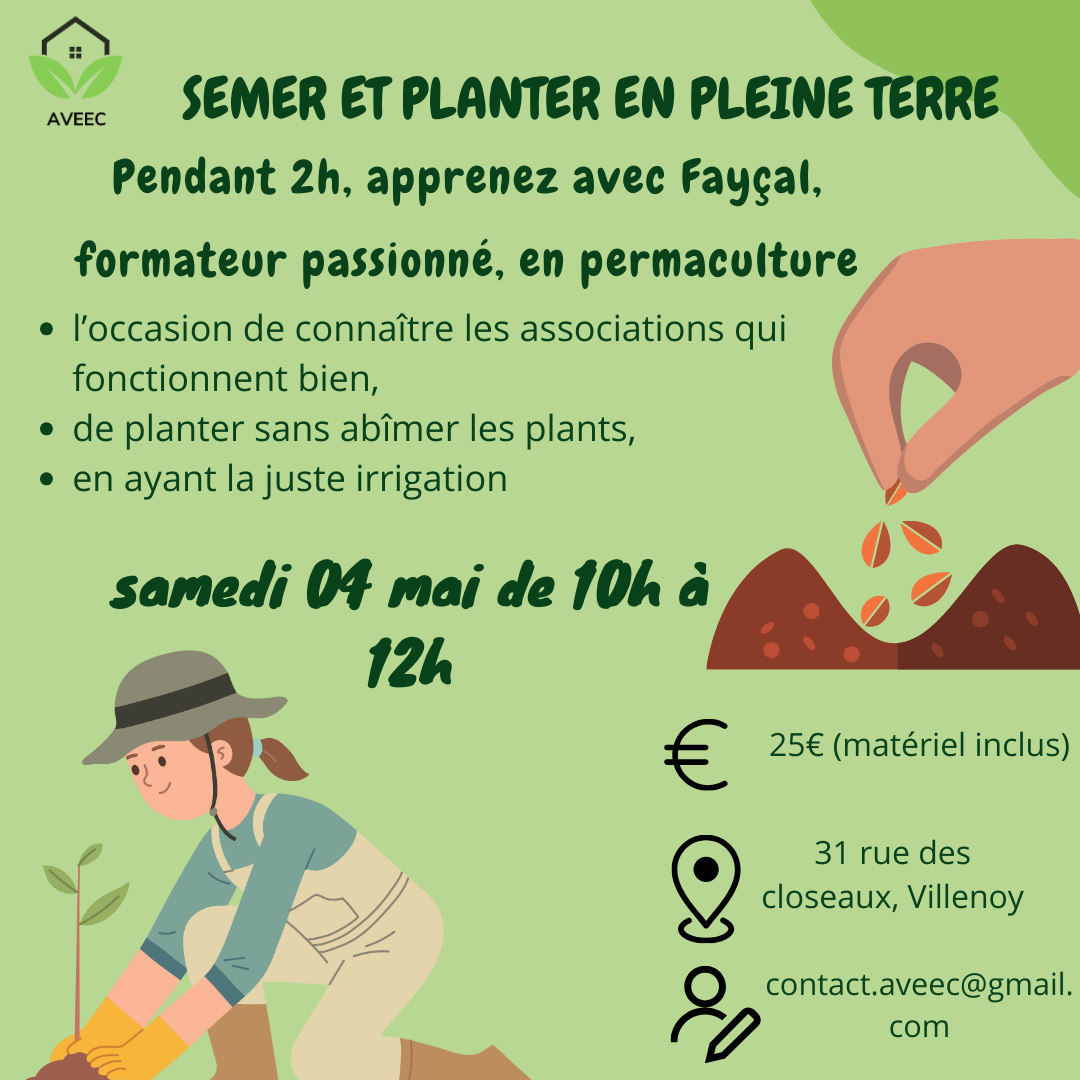 Semer et planter au potager