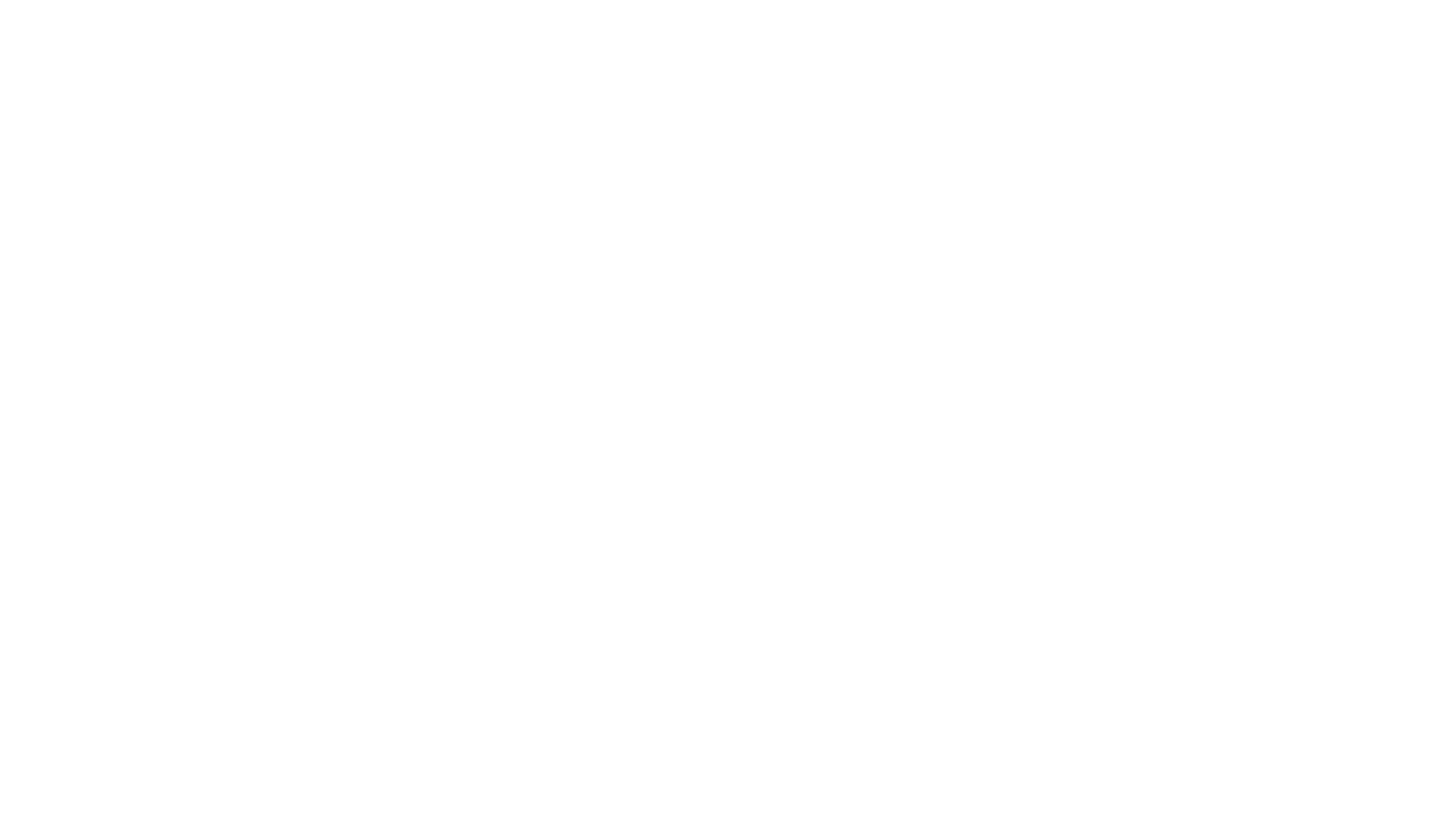 Logo Turonorum Guardians