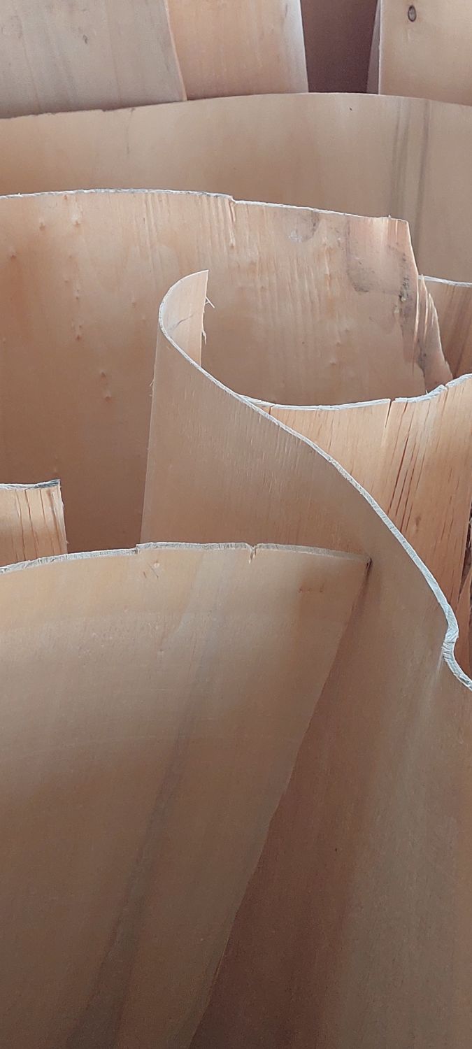 Exposition Mireille Fulpius -  sculptures