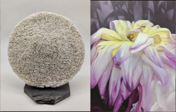 Exposition Elisabeth Gilbert Dragic et Nadine Bell