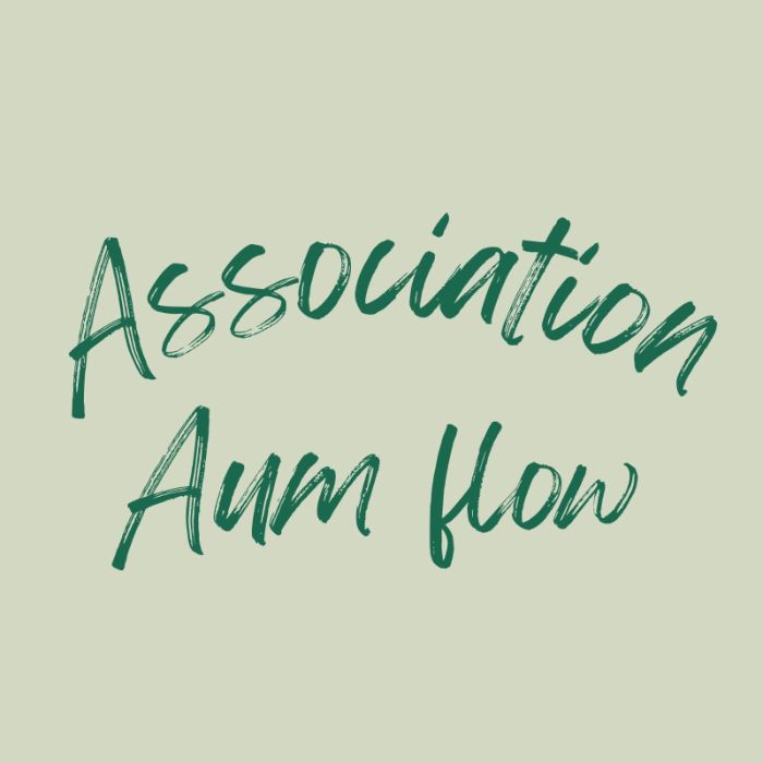 Logo Aum Flow