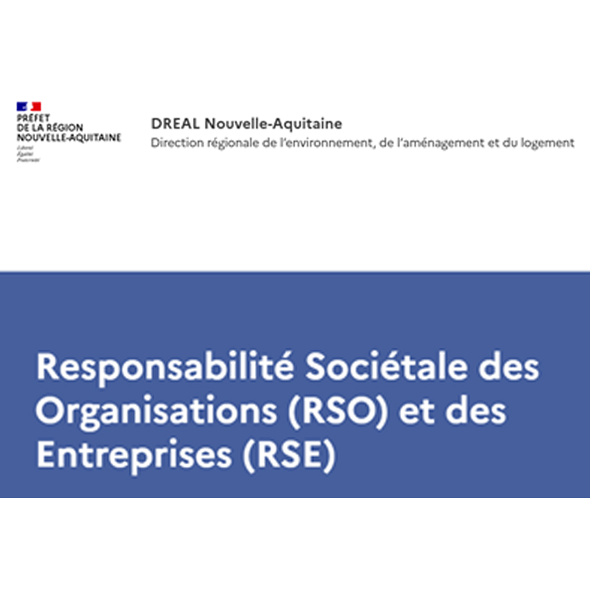 RSE & RSO