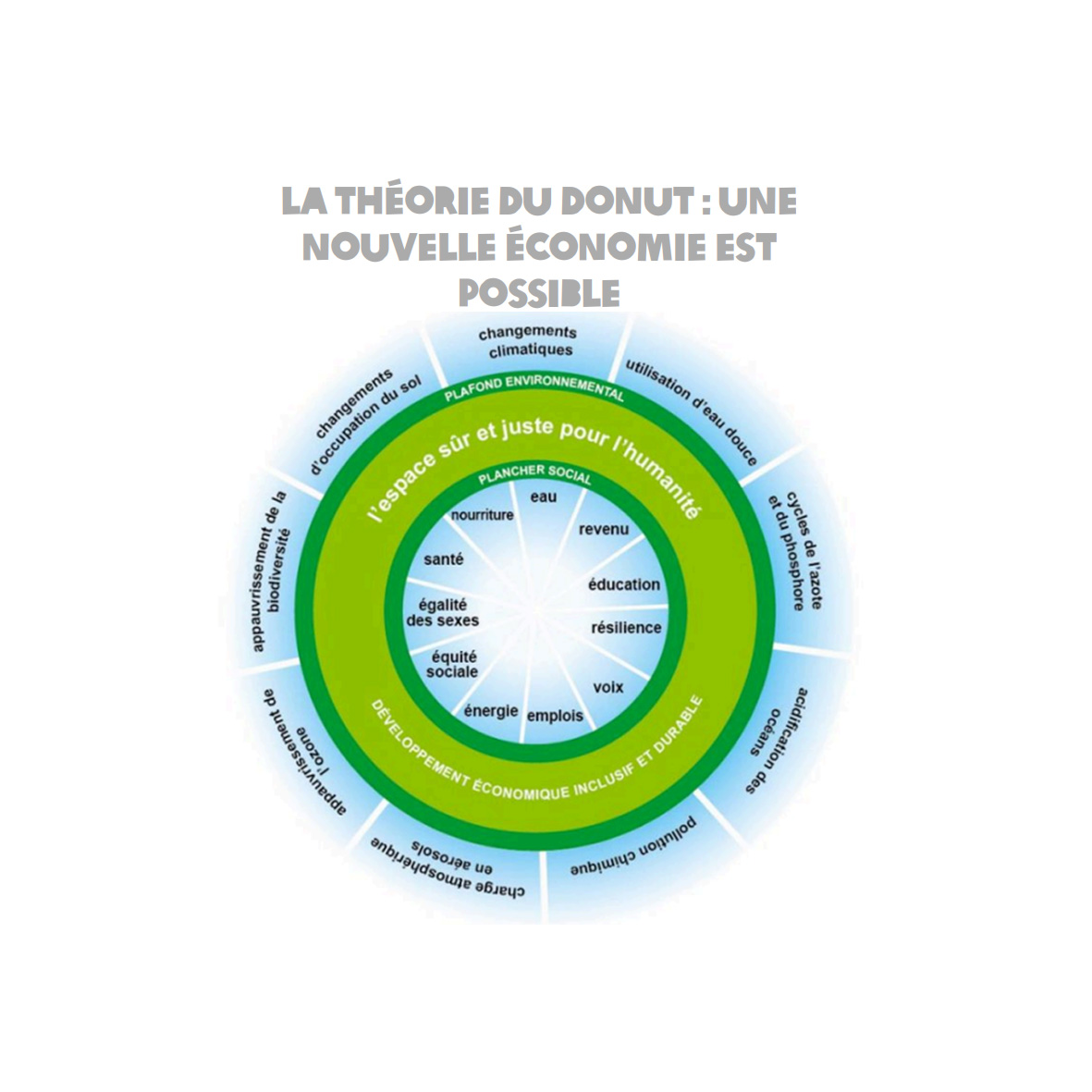 Théorie du Donuts