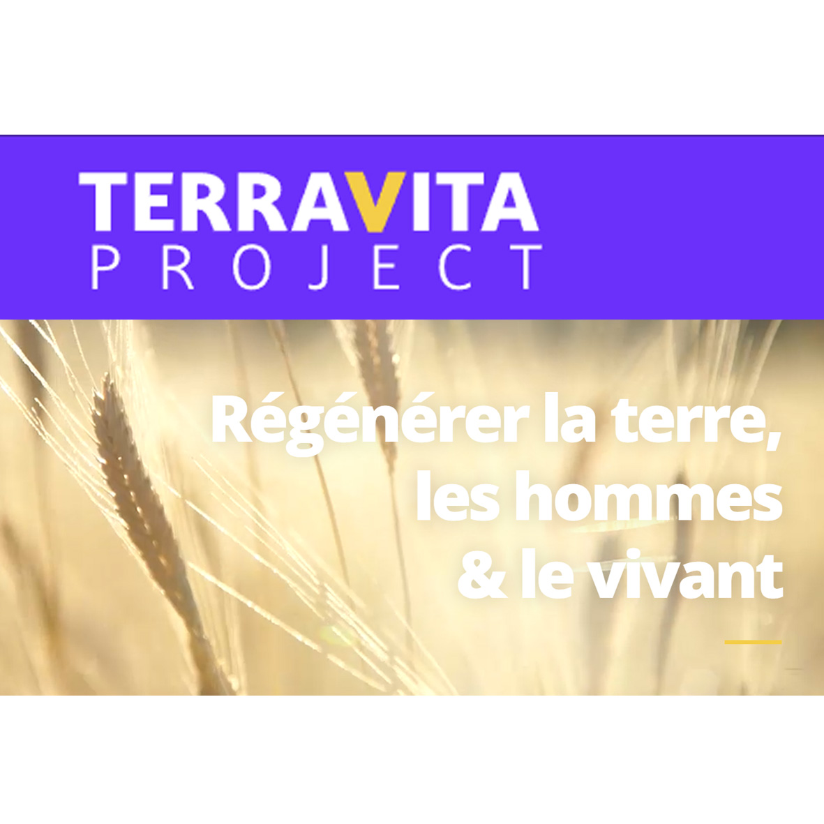 TerraVita