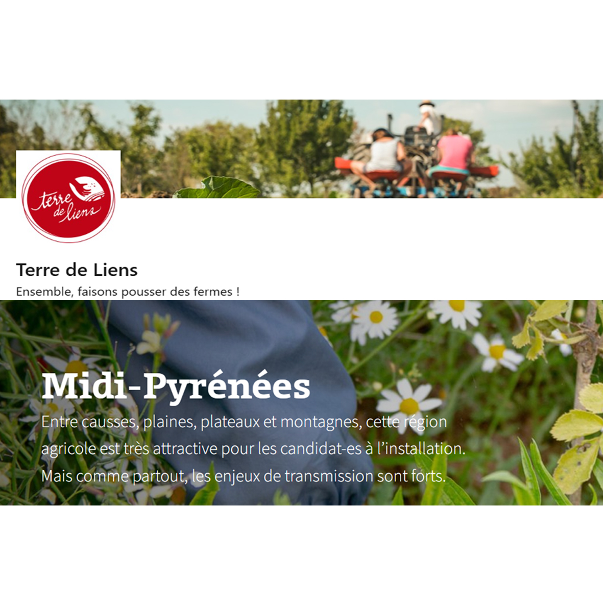 Terre de liens