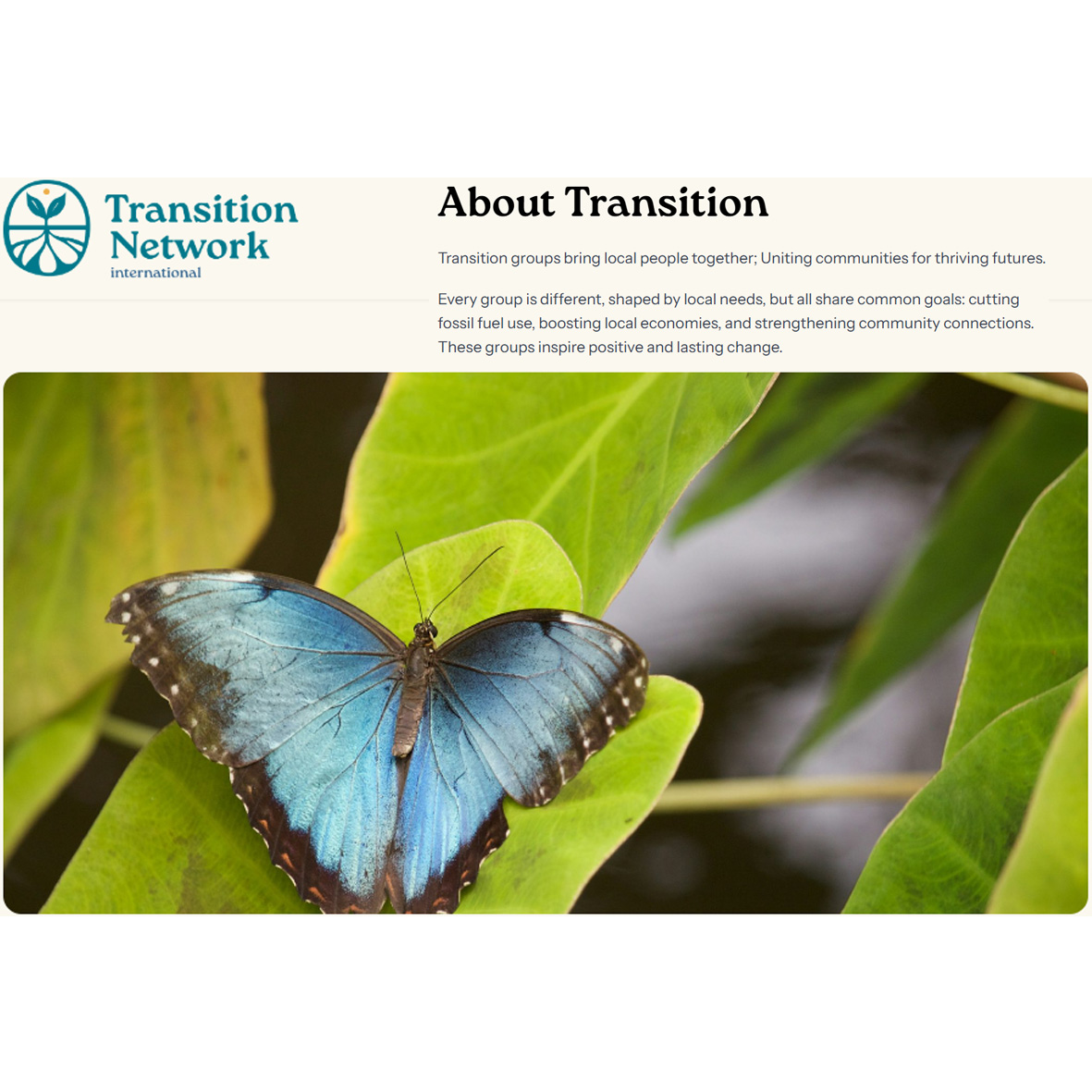 transition network