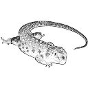 Logo associazione praugrande