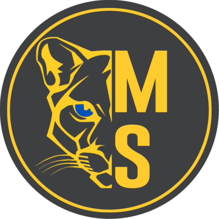 Logo Association Masthanna Sport