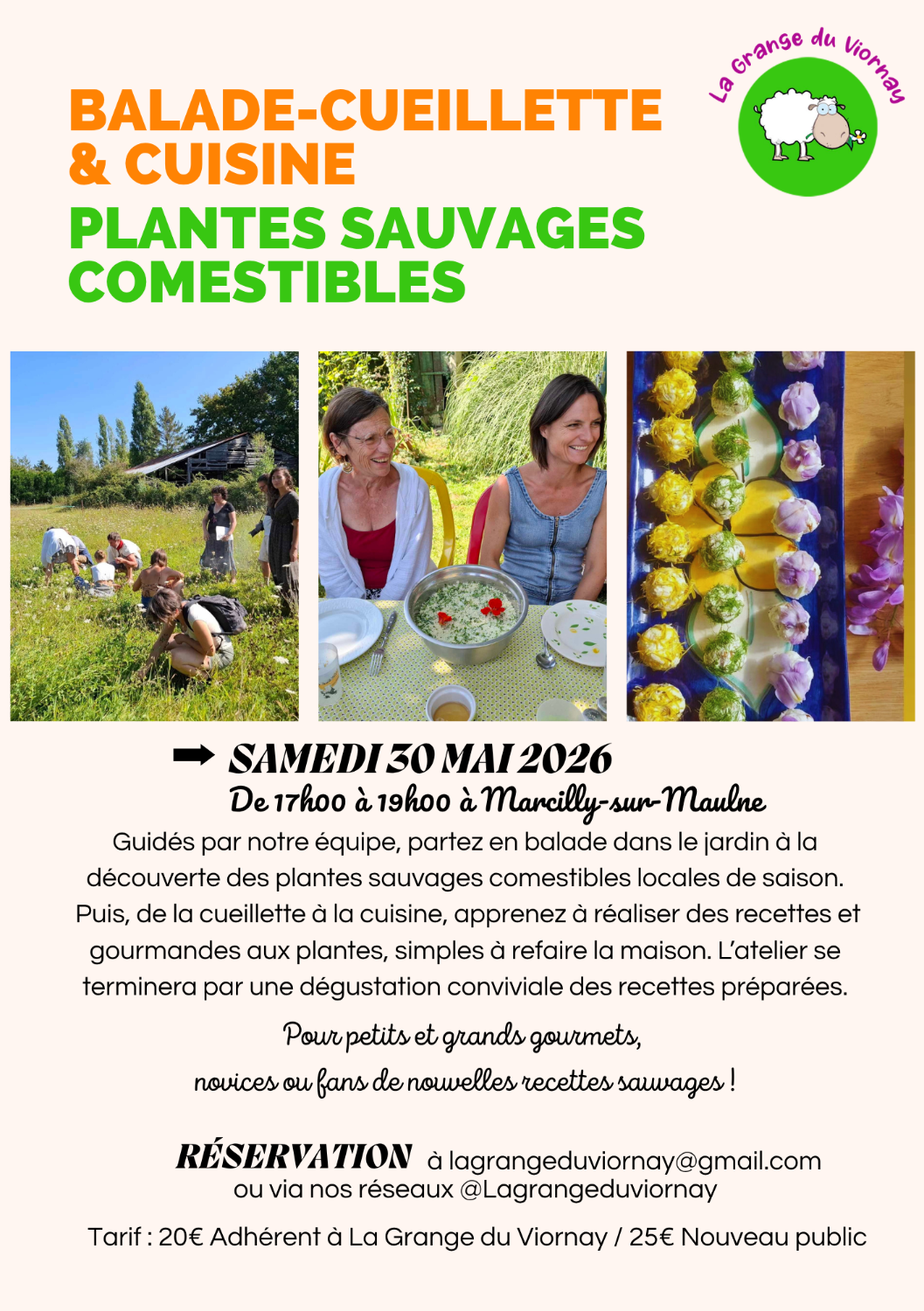 Balade-Cueillette découverte des Plantes sauvages comestibles & Atelier de Cuisine Sauvage