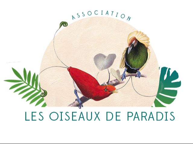 Logo Les oiseaux de Paradis