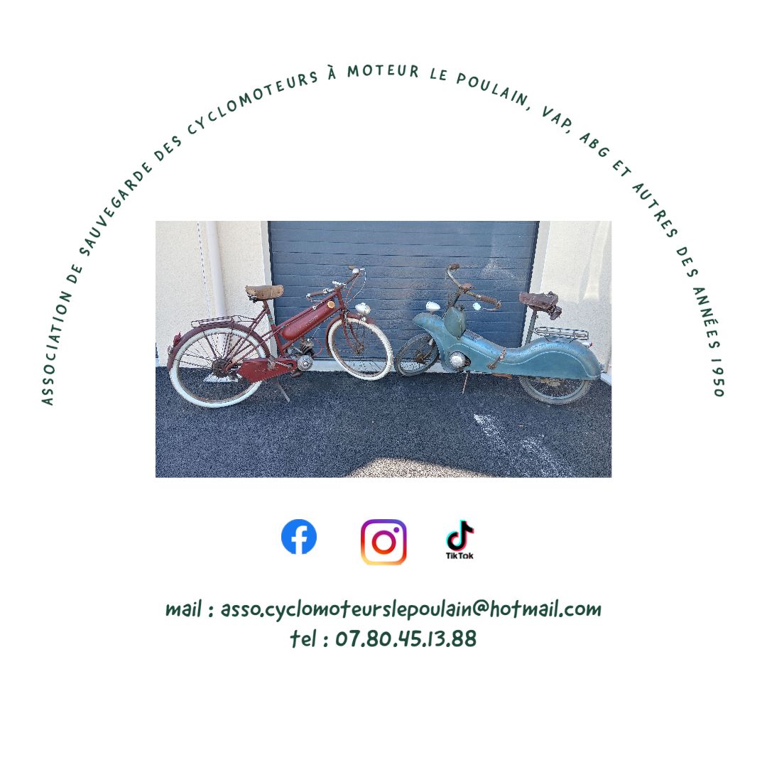 Articles - Vignette