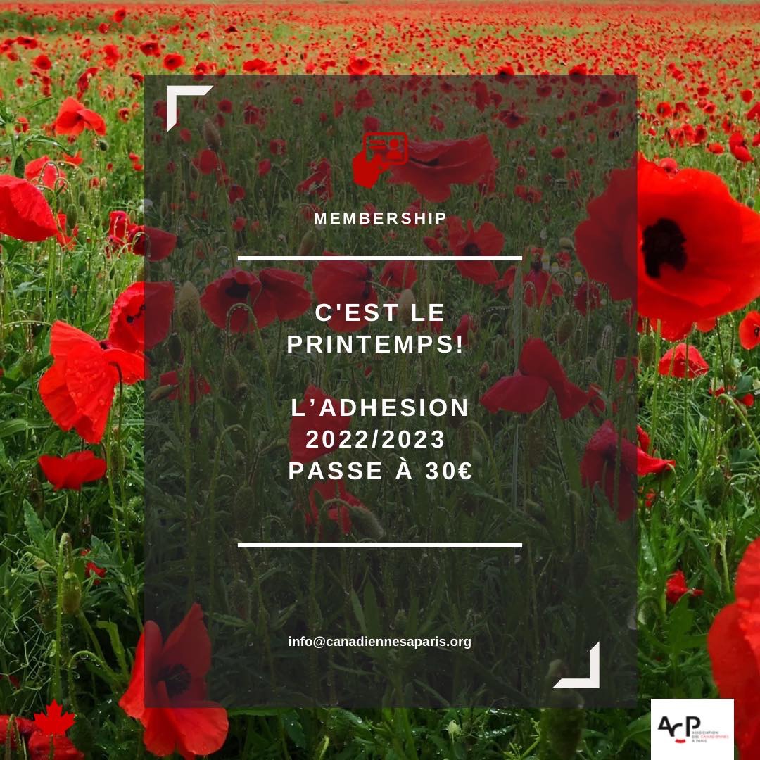Articles - Image d'intro