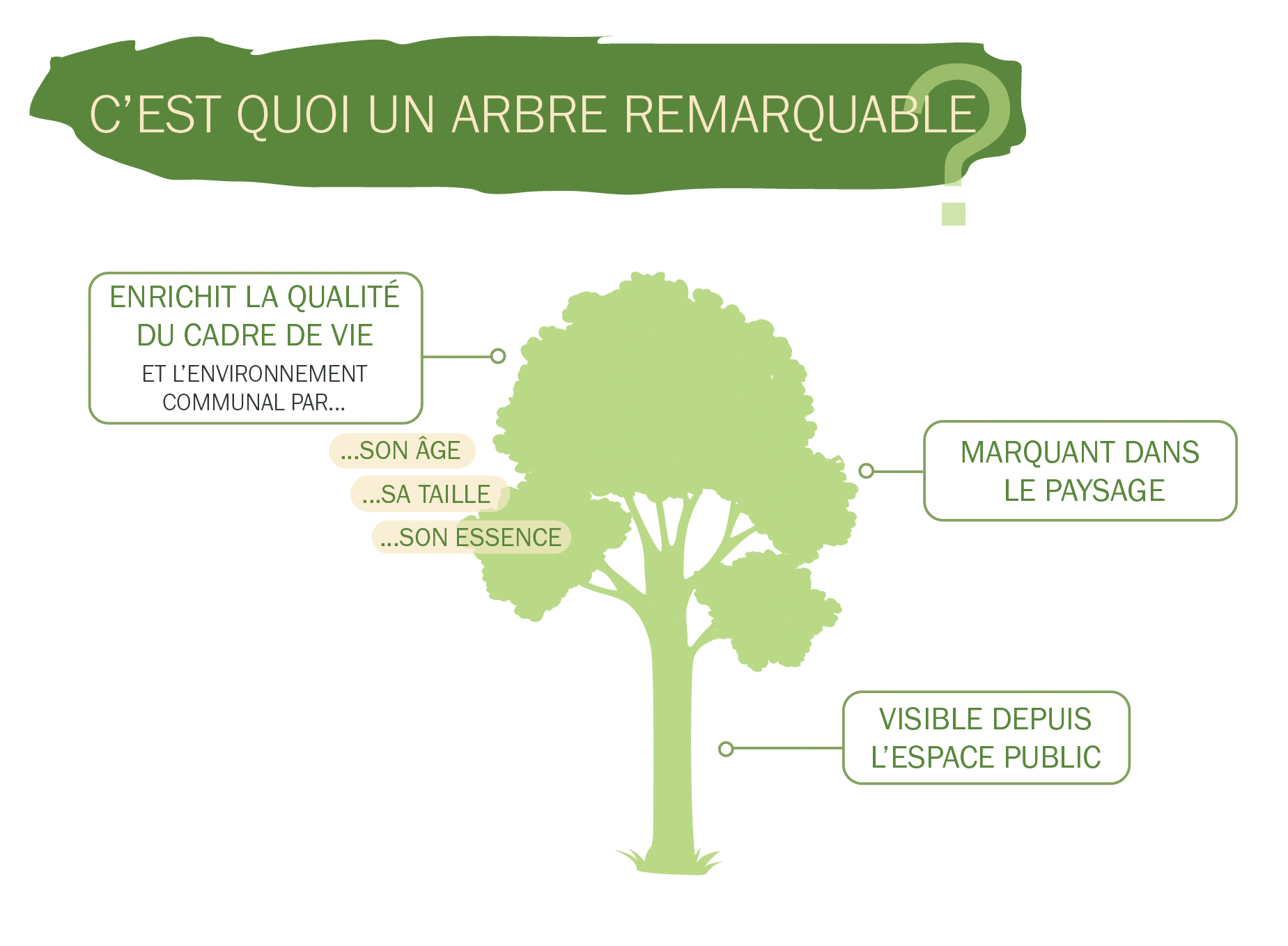Inventaire participatif des arbres remarquables de Dornach