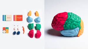 BRAIN PUZZLE - Dimanche 8 Février