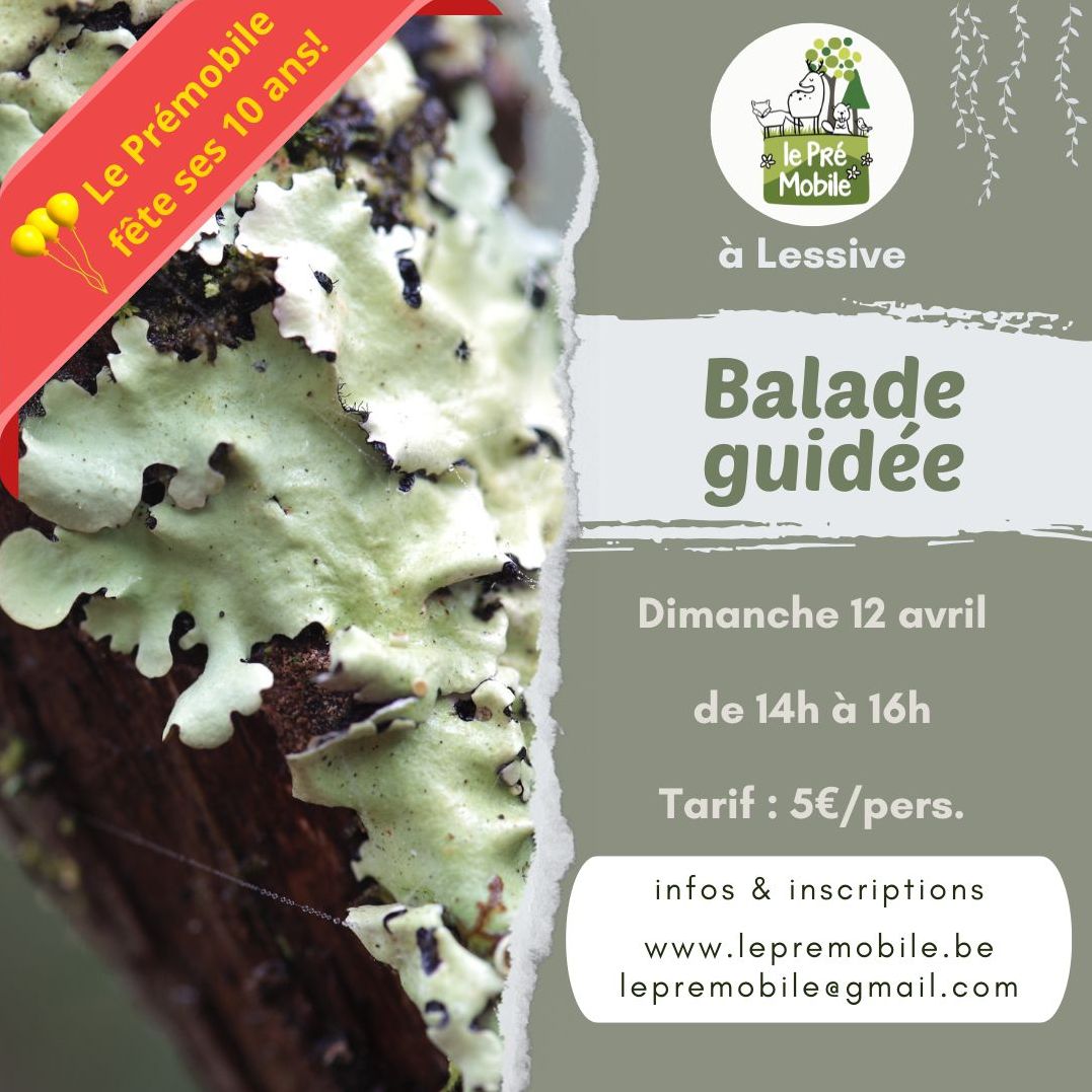 Découverte des lichens, splendeurs indicatrices de la qualité de l'air