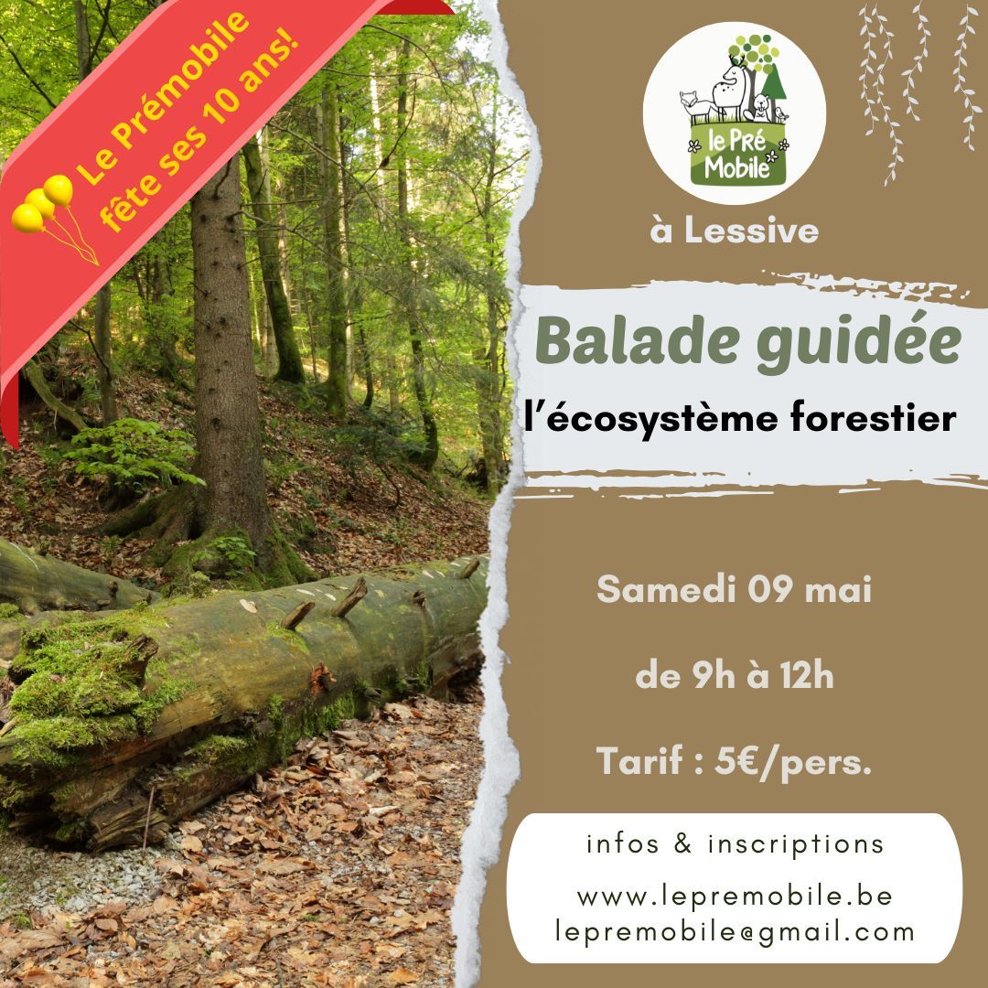 Balade nature sur le thème de l’écosystème forestier