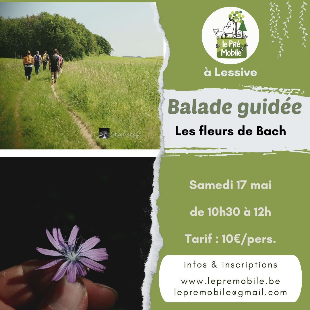 Balade à la découverte des fleurs de Bach