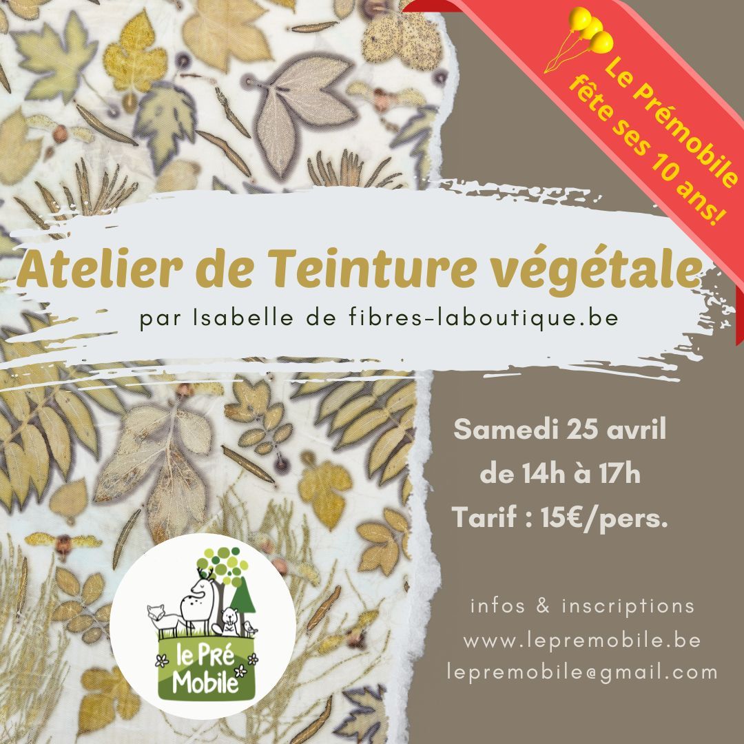 Atelier initiation à la teinture végétale