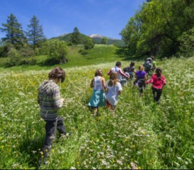 Sortie Nature (ornithologie)