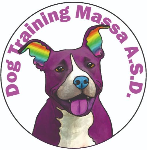 Logo Dog Training Massa ASD