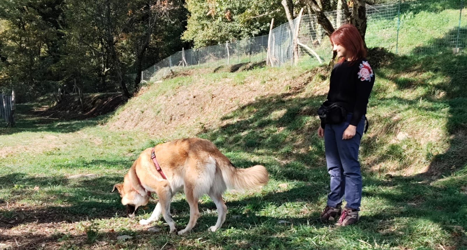 educazione alla relazione con il cane