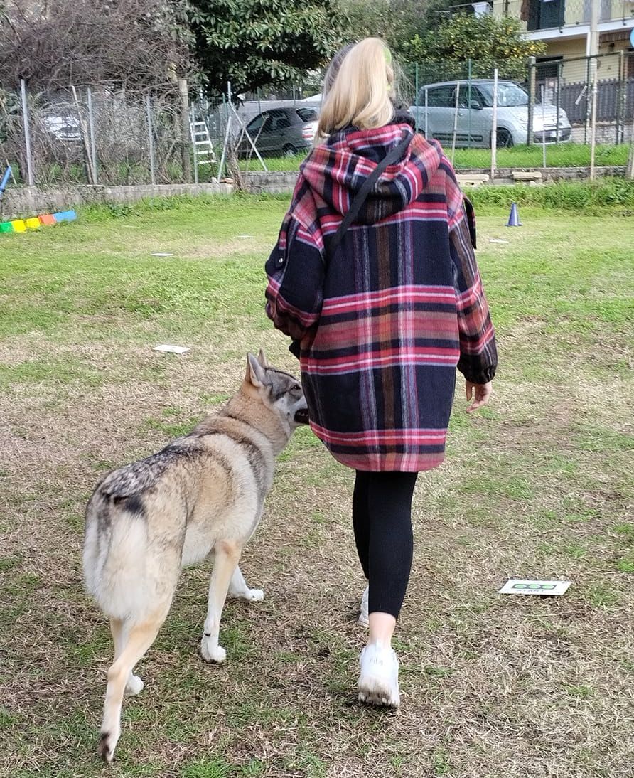 Educazione alle discipline Sportive