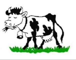 Logo Comité des fêtes de St Genouph