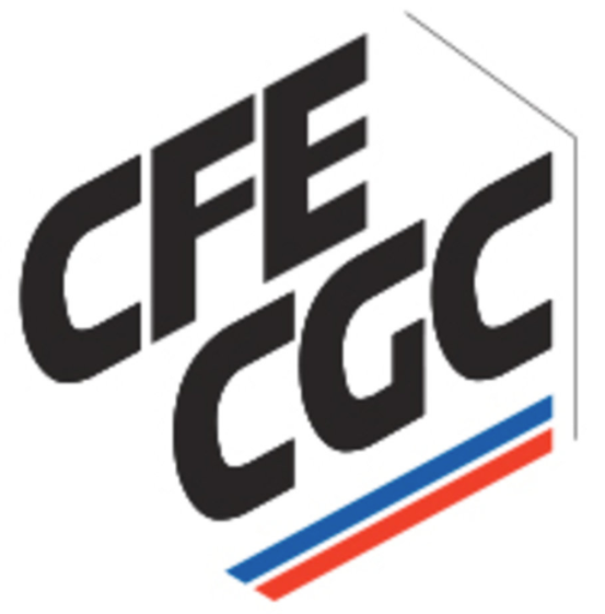 Logo CFE-CGC SESDEA