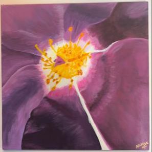 Expo | Les fleurs vues de près