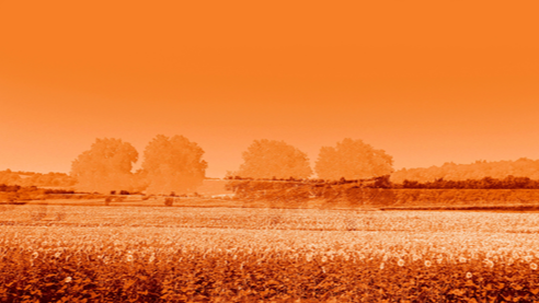 Expo | Photographies de Serge Grélin