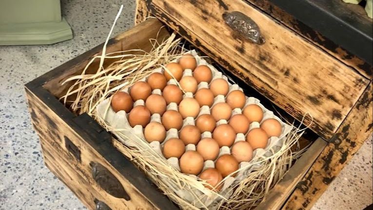 Les oeufs sont de retour