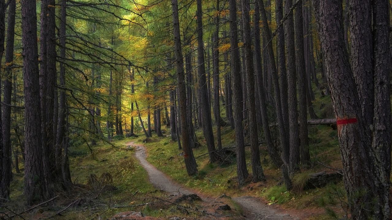Balade méditative - Sophro Nature