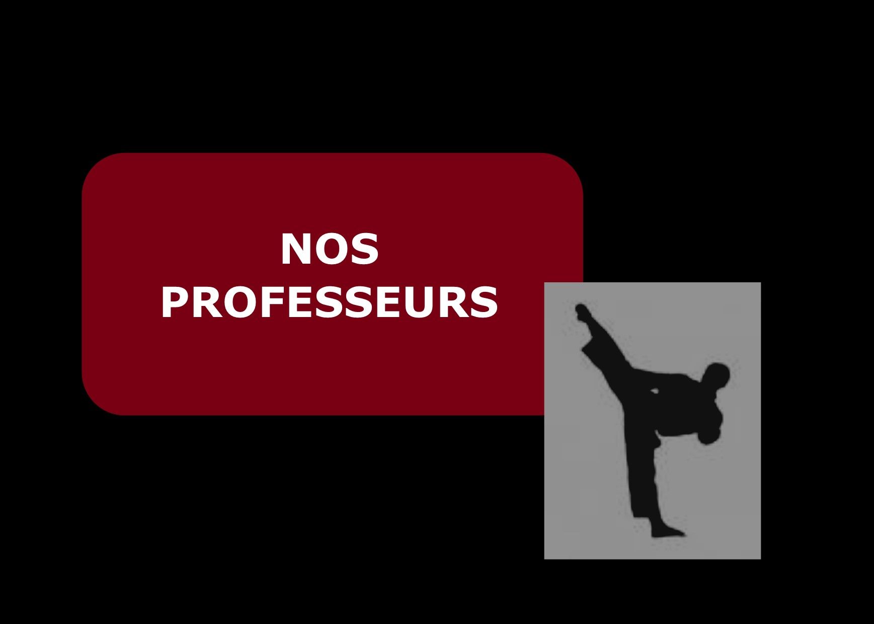 NOTRE PROFESSEUR SAINT LYS KARATE