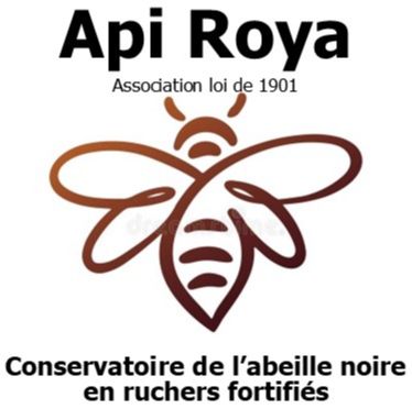 Logo Api Roya