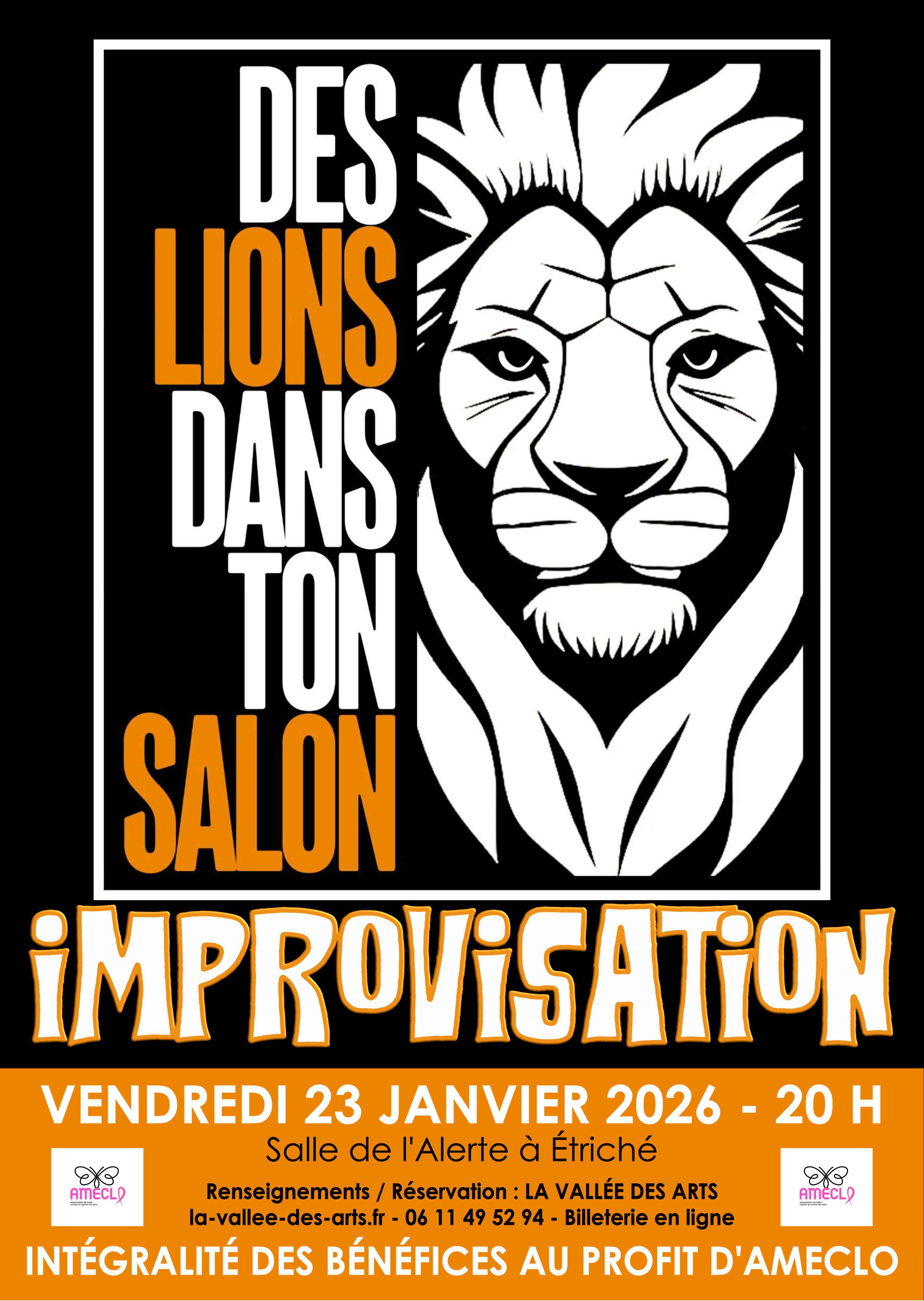 DES LIONS DANS TON SALON