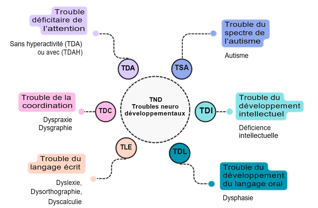 Les troubles neurodéveloppementaux