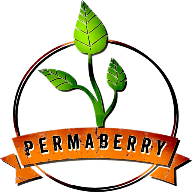 Logo PermaBerry