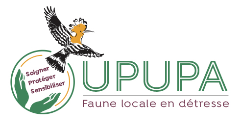 Logo Upupa