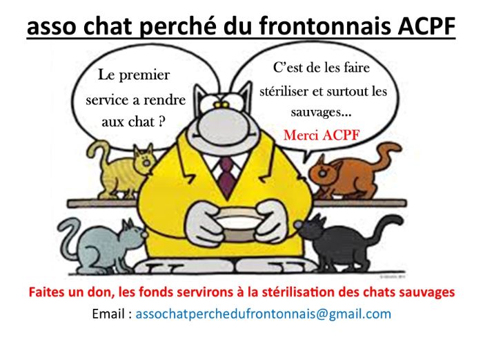 Logo ASSOCIATION CHAT PERCHE DU FRONTONNAIS