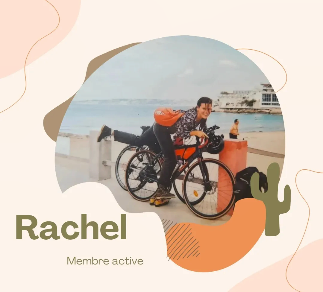 Articles - Vignette