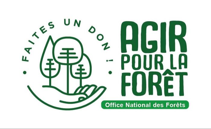 Logo Fonds de dotation ONF - Agir pour la forêt