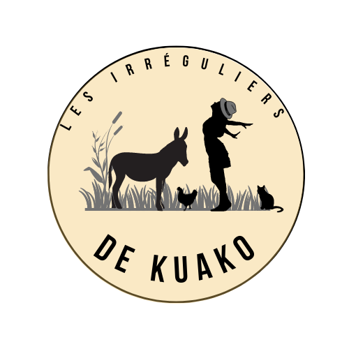 Logo Les irréguliers de Kuako