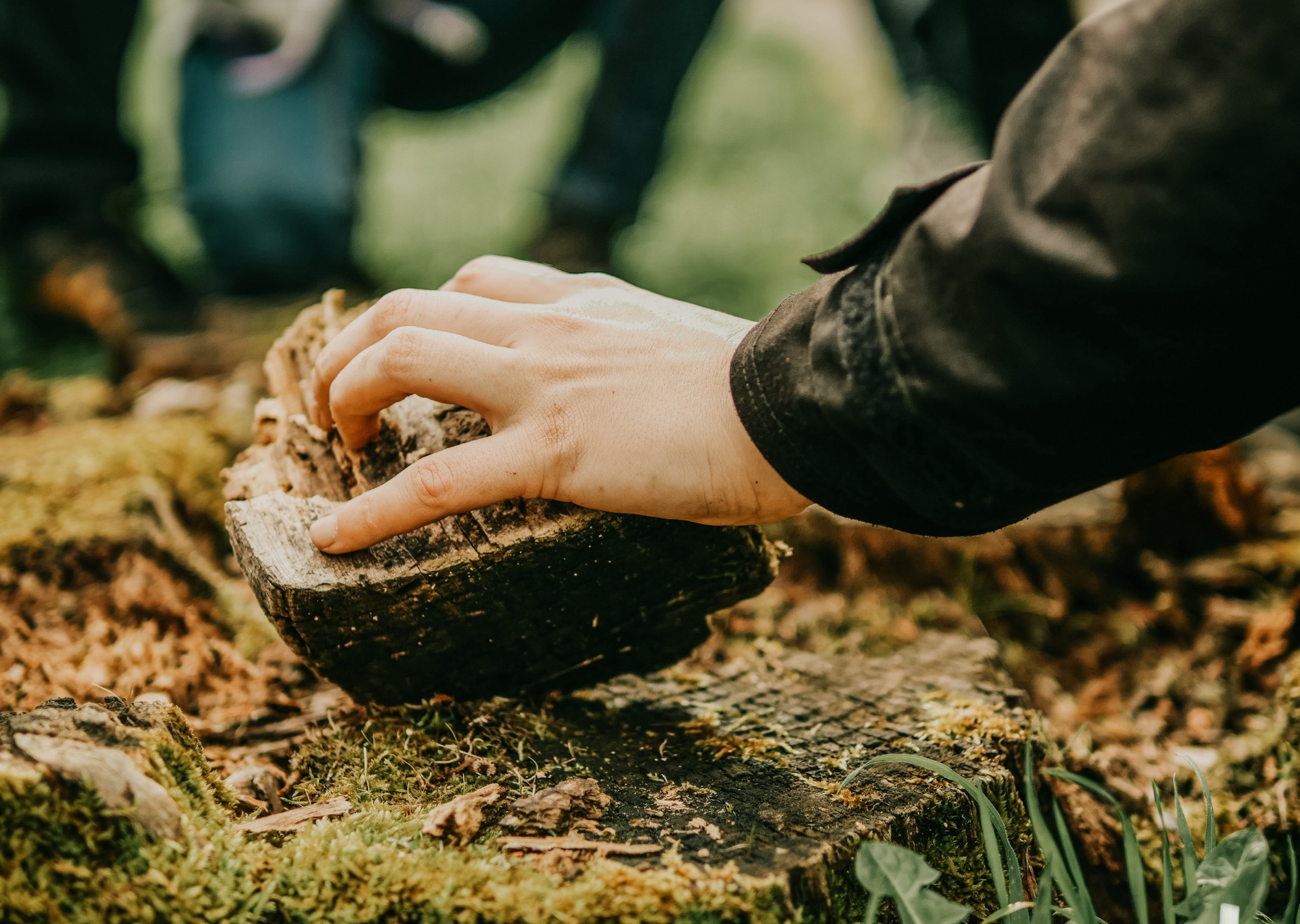 SENSIBILISATION AUX ARBRES ET PLANTATION