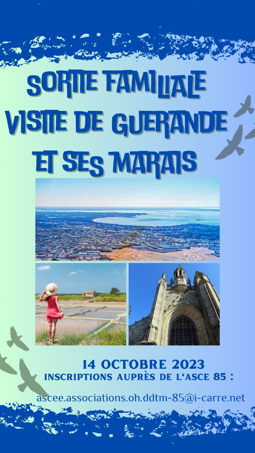 Sortie Familiale à Guérande